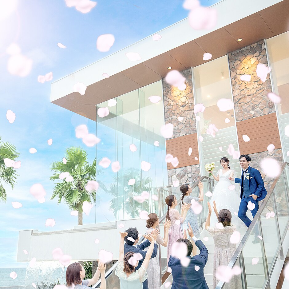 マウロ・アネーラの写真