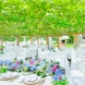 ぶどうの樹 GREEN WEDDING @岡垣町：自然に包まれた特別な場所で、“ありがとう”の結婚式を