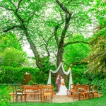 ラ・クラリエール：120年愛され続けた桜と自然豊かな癒しの空間を貸切に。いつでも迎えてくれる結婚式場