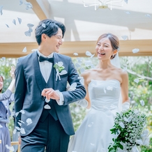 エレガンテヴィータの画像