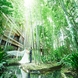 フォーチュン ガーデン 京都（FORTUNE GARDEN KYOTO）：【京都河原町駅すぐ】都会の中心で叶う本物の自然。貸切洋館で上質×アットホームな日