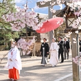 うつくしの杜　射水神社結婚式場：桜のフラワーシャワー、紅葉の絨毯を歩む″参進の儀″など絵画のように美しい結婚式