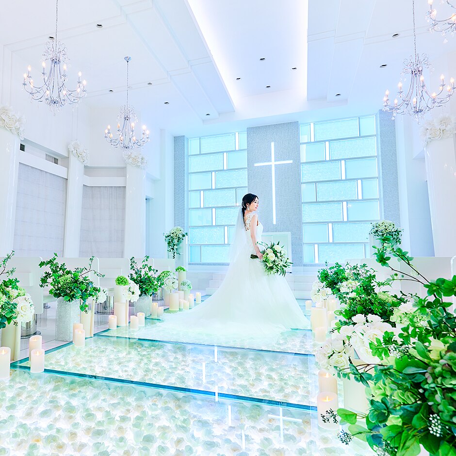 アメリーモンシュシュの写真