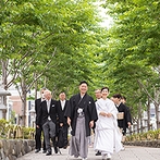 KOTOWA 鎌倉 鶴ヶ岡会館：初夏の緑に包まれる段葛（だんかずら）を歩き、鶴岡八幡宮の境内へ。参拝客からの祝福の言葉も思い出に
