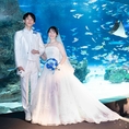 サンシャイン　スカイブライダル：【春婚／40万円分の水族館挙式プレゼント】4～6月挙式対象の特別プランあり！