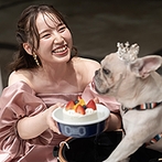 ラピスコライユ：愛犬の見せ場も作ってほっこりした雰囲気に。〆のお茶漬けビュッフェは「珍しい！」とゲストに好評だった