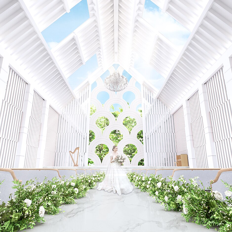 ラピスコライユの写真