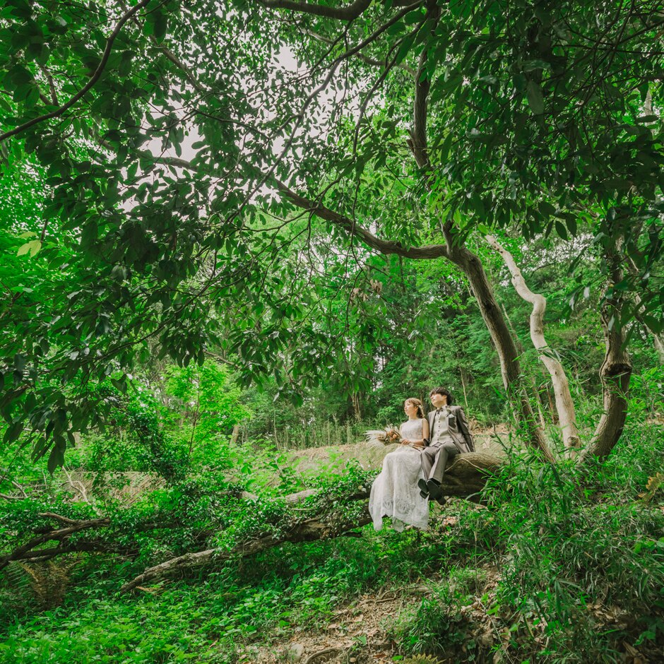 サンタ・アムール　エテルニテ　～森の中の小さなｗｅｄｄｉｎｇ～の写真