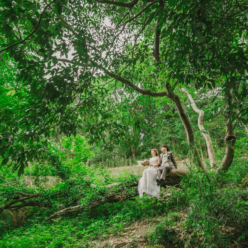 サンタ・アムール エテルニテ ~森の中の小さなwedding~の写真