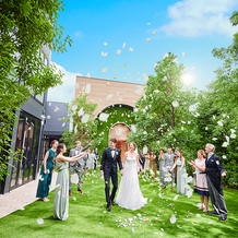 Accord Herbe（アコールハーブ）