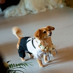 W大阪：ホテルでのウエディングでも愛犬と一緒に！リングドッグや結婚証明書への肉球スタンプなど大活躍