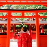 吉田神社：吉田山の翠に映える鮮やかな朱色の社殿。京の都に縁深い社で古式ゆかしい神前式