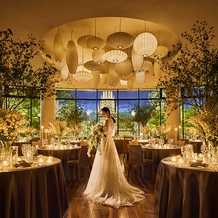 The Library by STRINGS