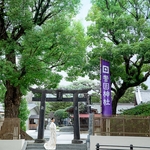 THE KEGO CLUB by HAPPO-EN：【3月NEW OPEN】400年の時紡ぐ「警固神社」と東京の「八芳園」が築く、気品薫る結婚式
