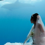 志布志湾大黒リゾートホテル：イルカと一緒にセレモニー！海＆空の開放感に包まれて、絶景を楽しむリゾートパーティ