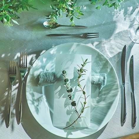 ＴＨＥ　ＦＯＲＥＳＴ　ＴＥＲＲＡＣＥ　ＨＡＫＡＴＡ（ザ・フォレストテラス博多）の写真