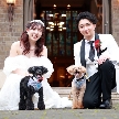 ブルーミントンヒル：大切なペットも一緒に！結婚式まるわかり相談会