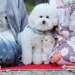 藻岩シャローム教会のフェア画像