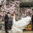 ホテル テラス ザ スクエア 日立：【フォトウエディング相談会】結婚をカタチに残そう☆フェア