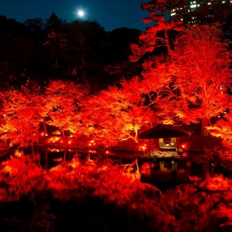 八芳園のフェア画像