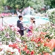 花巻温泉　－Ｔｈｅ　Ｇｒａｎｄ　Ｒｅｓｏｒｔ　Ｈａｎａｍａｋｉ　Ｏｎｓｅｎ－のフェア画像