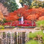 ホテルニューオータニのフェア画像