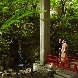 ウェスティン都ホテル京都のフェア画像