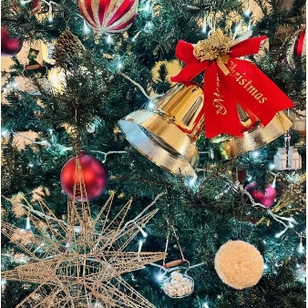 レ アール ド セゾン・セージのフェア画像