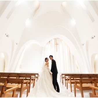 ＴＨＥ　ＭＯＲＲＩＳ（ザ・モーリス）のフェア画像