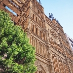 セレス高田馬場 Santa Angeliのフェア画像