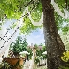 Ａｒｔ Ｂｅｌｌ Ａｎｇｅ 札幌のフェア画像