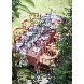 アールベルアンジェチャペル嵯峨野のフェア画像