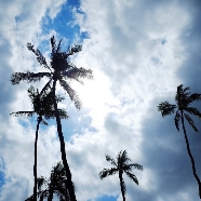 アールベルアンジェチャペル嵯峨野：リゾート婚＆帰国後パーティー相談会（沖縄・ハワイW特典付）