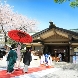 東郷神社／東郷記念館のフェア画像