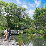 東郷神社／東郷記念館のフェア画像