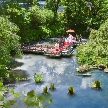 東郷神社／東郷記念館：【新春BIG*15大特典付】神社挙式×絶品試食×&quot;貸切&quot;庭園体験