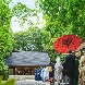 乃木神社・乃木會館のフェア画像