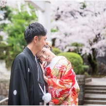 乃木神社・乃木會館:【2026年3～4月挙式】人気の桜和婚プラン≪30名≫