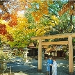 結婚式場:※直前予約OK!紅葉の乃木神社×和洋彩る会場見学~豪華試食付