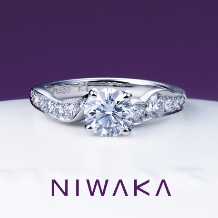 TOMITA:【TOMITA/福島県正規取扱店】俄 唐花( カラハナ)