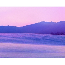 TOMITA_←雪佳景◇朝陽に染まる雪、雪原に輝く光といった時間を経て変化する美しい時間を表現