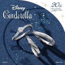 TOMITA:【ディズニー　シンデレラ】Disney Cinderella 2025