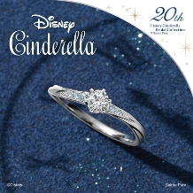 TOMITA:【ディズニー　シンデレラ】Disney Cinderella 2025