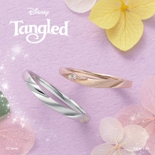 【ディズニー　ラプンツェル】Disney PRINCESS Tangled