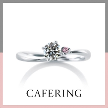 TOMITA:【TOMITA/郡山取扱店】Cafe Ring　ローズヒップデュー