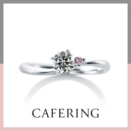 TOMITA:【TOMITA/郡山取扱店】Cafe Ring ローズヒップデュー