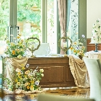 デュオ・グランシャリオのフェア画像