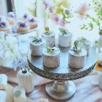 デュオ・グランシャリオのフェア画像