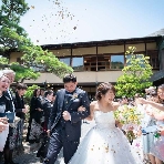 ＴＨＥ ＧＡＲＤＥＮ ＤＩＮＩＮＧ 弓絃葉のフェア画像