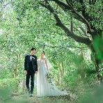 グランドプリンスホテル大阪ベイのフェア画像